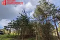 Atterrir  Padlabienski sielski Saviet, Bélarus