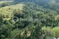 Działki  Ubud, Indonezja