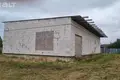 Ferienhaus 169 m² Rudzienski sielski Saviet, Belarus
