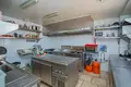 Коммерческое помещение 48 м² Торревьеха, Испания