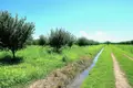 Land  Kvareli, Georgia
