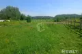 Parcelas  Krasnienski sielski Saviet, Belarús