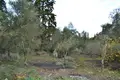 Land 1 room 65 m² Souleika, Greece