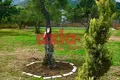 Dom 4 pokoi 190 m² Potamia, Grecja