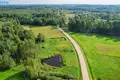Działki  Kalniszki, Litwa