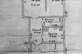 Haus 42 m² Slonim, Belarus
