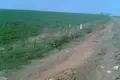 Land  Odesa, Ukraine