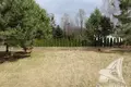 Działki  Muchawiec, Białoruś