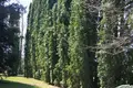 Działki 26 m² Niksic, Czarnogóra