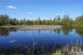 Дом 146 м² Новоселье, Беларусь