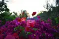 4 room house 200 m² Municipality of Ermionida, Greece