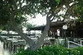 Boutique 300 m² à Sotíra, Chypre