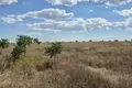 Land  Sukhyi Lyman, Ukraine