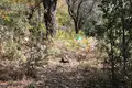 Land 250 m² in Alanya, Turkey