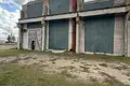 Producción 878 m² en Karelichy, Belarús