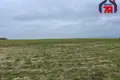 Grundstück  Smilavicki sielski Saviet, Belarus