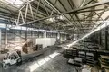 Nieruchomości komercyjne 2 927 m² w Iecavas pagasts, Łotwa
