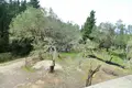 1 room Cottage 240 m² Agios Georgios, Greece
