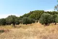 Atterrir 1 chambre  Skala Fourkas, Grèce