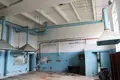 Propriété commerciale 14 593 m² à Borshchi, Ukraine