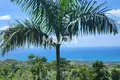 Atterrir  Las Terrenas, République dominicaine