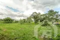 House 65 m² Harodzkauski sielski Saviet, Belarus
