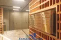 3 room apartment 94 m² Minsk, Belarus