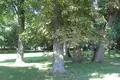 Schloss 135 zimmer 3 600 m² Zettemin, Deutschland