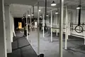 Gewerbefläche 711 m² Helechosa de los Montes, Spanien