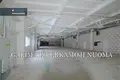 Gewerbefläche 1 311 m² Visaginas, Litauen