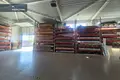 Gewerbefläche 540 m² in Kaunas, Litauen