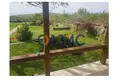 Haus 5 zimmer 98 m² Emona, Bulgarien