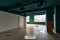 Gewerbefläche 2 zimmer 204 m² in Minsk, Belarus