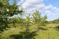 Haus 42 m² Krupicki sielski Saviet, Belarus