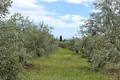 Atterrir 1 chambre  Leptokarya, Grèce