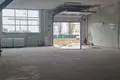 Коммерческое помещение 330 м² в Алитусе, Литва