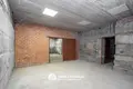 5 room house 391 m² Vialikaje Sciklieva, Belarus