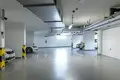 Wohnung 4 zimmer 90 m² Hauptstadt Prag, Tschechien
