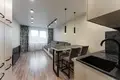 1 room apartment 41 m² Fanipal, Belarus