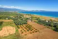 Land 5 800 m² Nea Triglia, Greece
