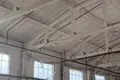 Commercial property 4 000 m² in Deliatyn, Ukraine