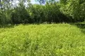 Land  Aliachnovicki sielski Saviet, Belarus