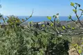Haus 3 Schlafzimmer 305 m² Spanien, Spanien