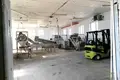 Commercial property 2 127 m² in Bachorza, Poland