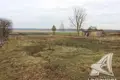 Land 33 m² Dzmitrovicki sielski Saviet, Belarus