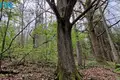 Land  Godlaukis, Lithuania