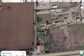 Black Cat Complex - one of kind property
