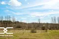 Cottage 229 m² in Minsk, Belarus