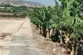 Land  Paphos Municipality, Cyprus