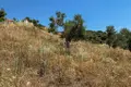 Atterrir 6 662 m² Nikiti, Grèce